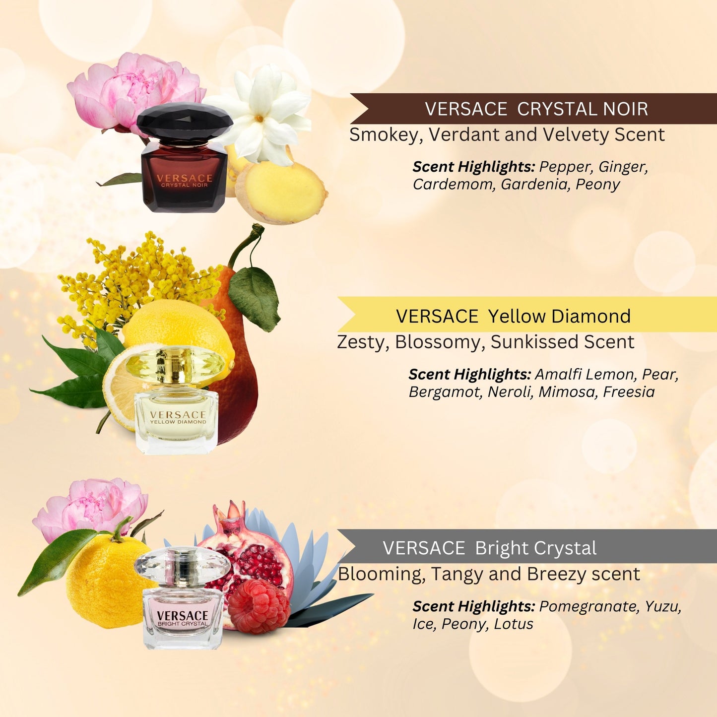 Versace Variety 3 Piece Mini Gift Set