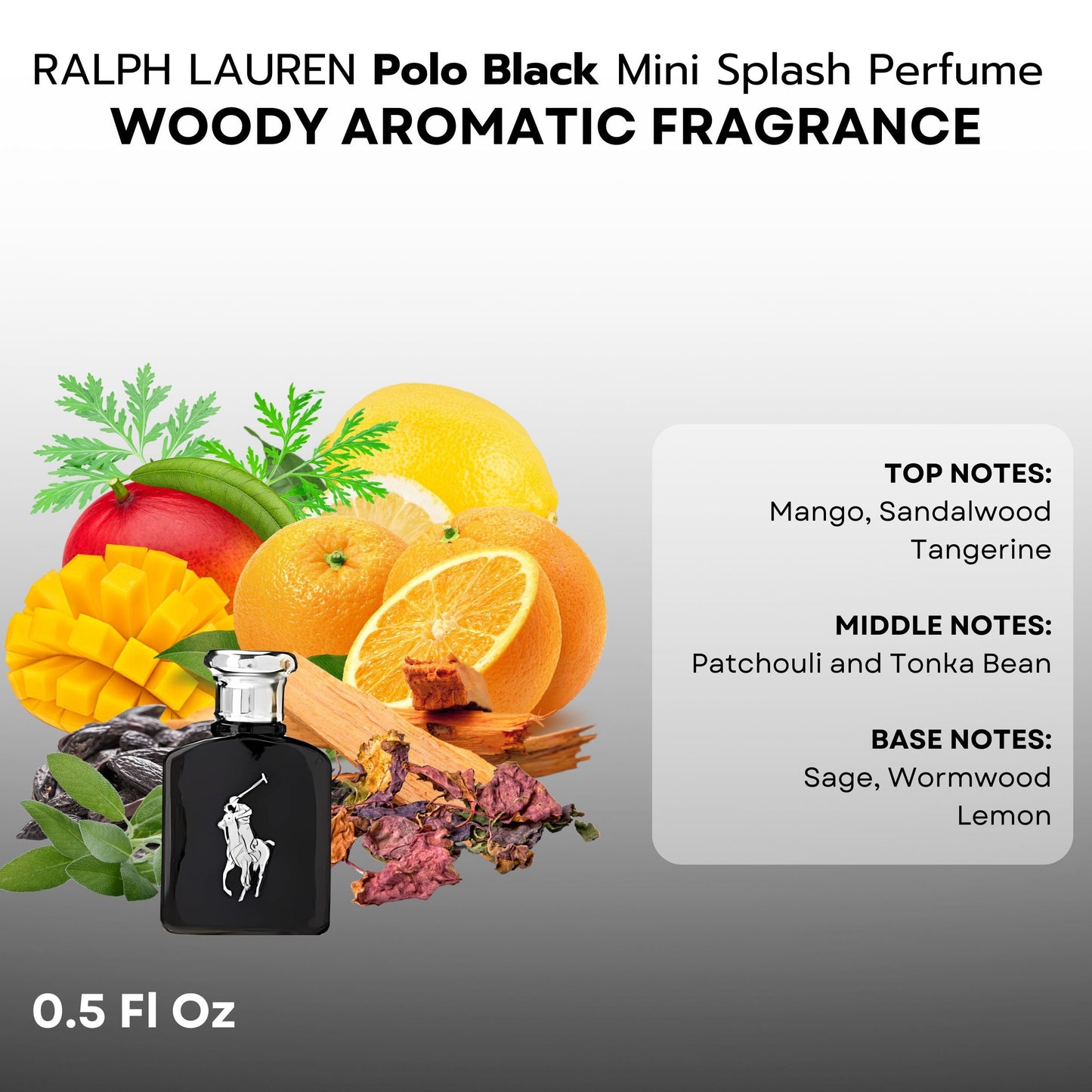 Ralph Lauren Polo Variety 4 Piece Mini Gift Set